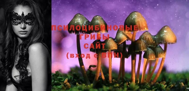 ОМГ ОМГ как войти  Балей  Псилоцибиновые грибы MAGIC MUSHROOMS 